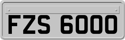 FZS6000