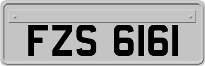 FZS6161