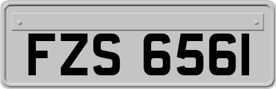 FZS6561