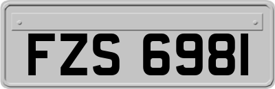 FZS6981
