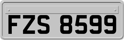 FZS8599