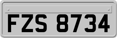 FZS8734