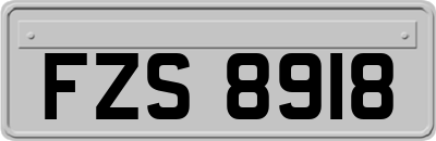 FZS8918