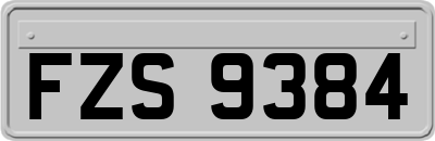FZS9384