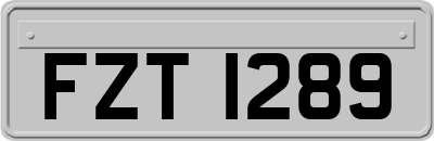 FZT1289