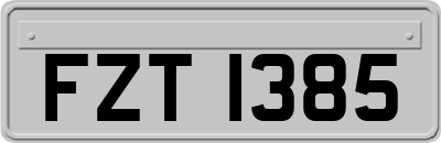 FZT1385
