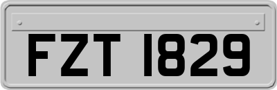 FZT1829