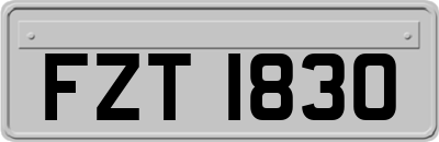 FZT1830