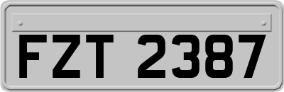 FZT2387
