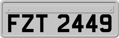 FZT2449