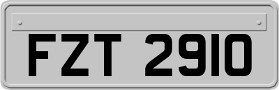 FZT2910