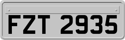 FZT2935