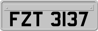FZT3137