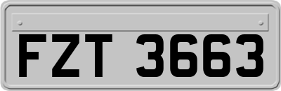 FZT3663