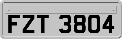 FZT3804