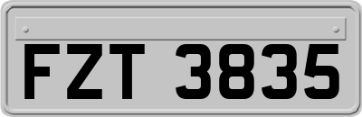 FZT3835