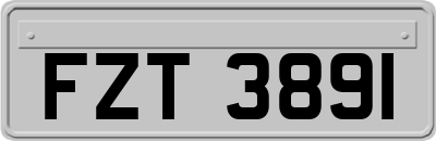 FZT3891