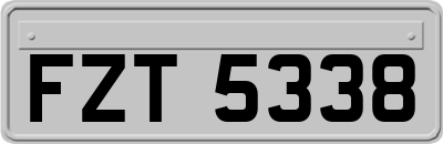 FZT5338