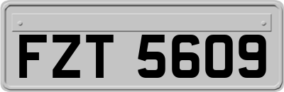 FZT5609