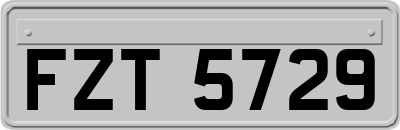 FZT5729