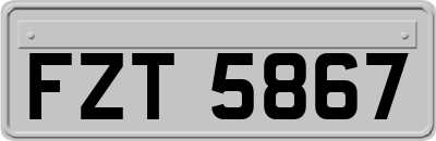 FZT5867