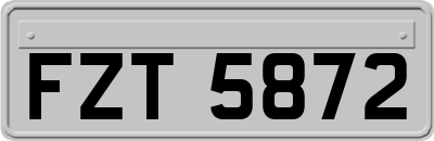FZT5872