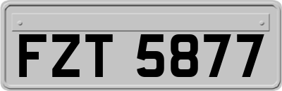 FZT5877