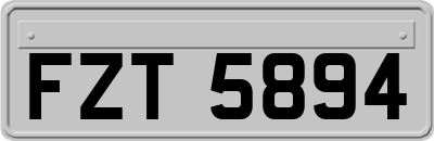 FZT5894