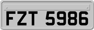 FZT5986