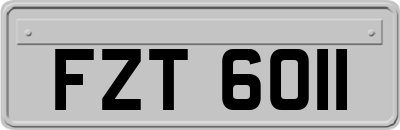 FZT6011