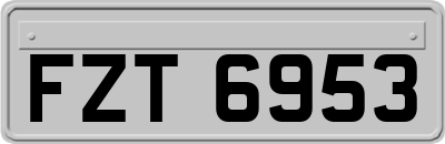 FZT6953