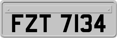 FZT7134