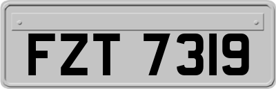 FZT7319