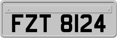 FZT8124