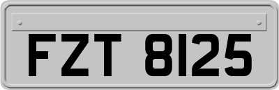 FZT8125
