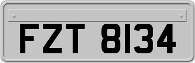 FZT8134