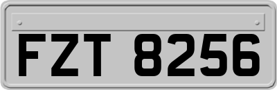 FZT8256