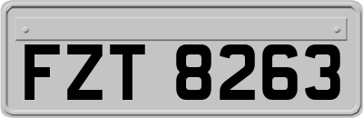 FZT8263