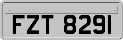 FZT8291