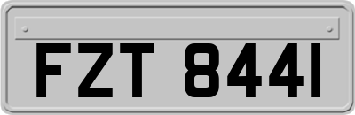 FZT8441