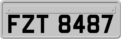 FZT8487