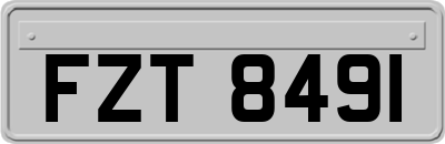 FZT8491