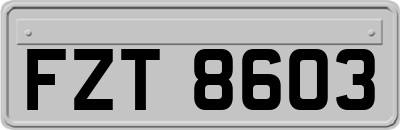 FZT8603