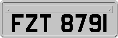 FZT8791