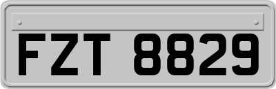 FZT8829