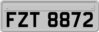 FZT8872