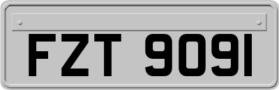 FZT9091