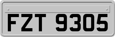 FZT9305