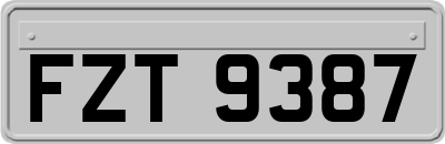 FZT9387
