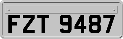 FZT9487